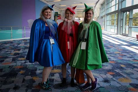 Flora, Fauna & Merryweather | Sleeping beauty costume, Running costumes diy, Running costumes