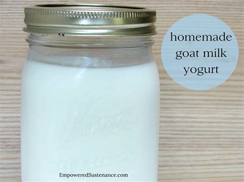 how to make easy goat milk yogurt | Goat milk yogurt, Goat milk recipes, Homemade goats cheese