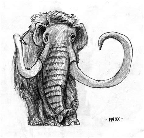 Woolly Mammoth Illustration | Wooly mammoth, Drawings, Mammoth