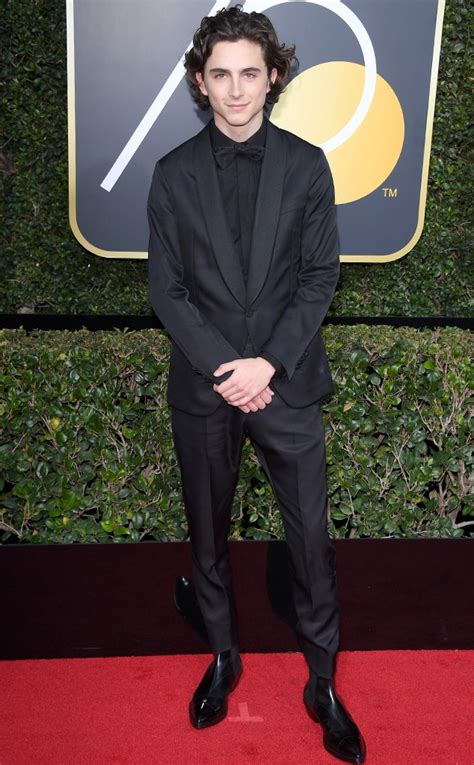 Timothée Chalamet from 2018 Golden Globes Red Carpet Fashion | E! News