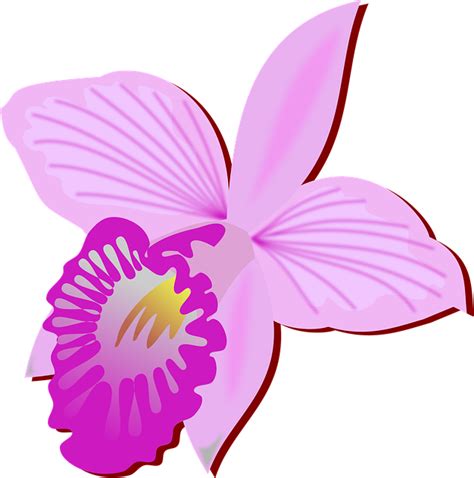Clip Art Flor Flora · Free vector graphic on Pixabay