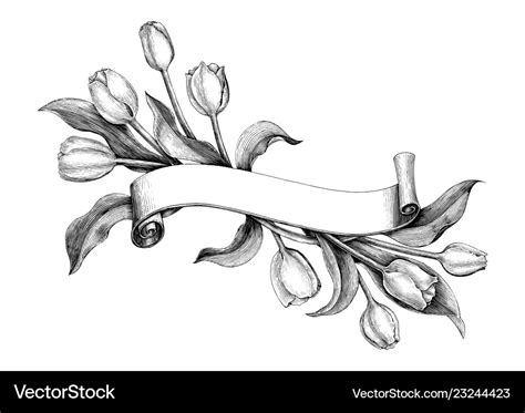 Vintage banner with tulips flower hand drawing Vector Image