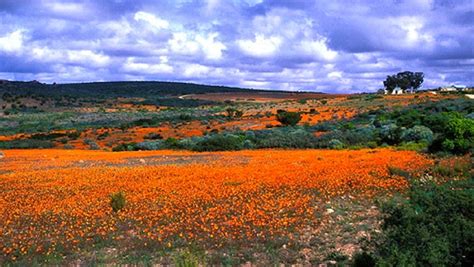 More about Namaqua National Park | TravelGround