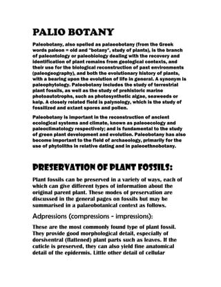 Paliobotany and pictures | PDF