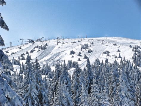 Kopaonik - Wikipedia