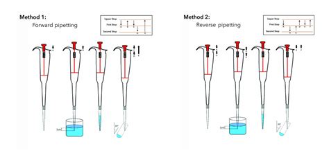 What are the different techniques of pipetting? - Microlit