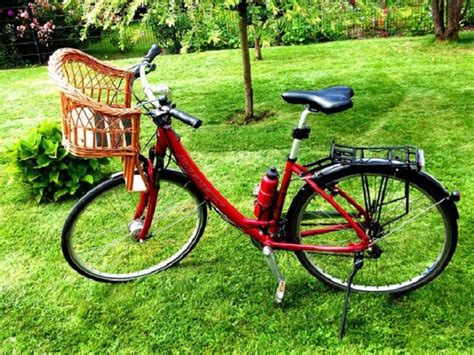 A Women’s Cruiser Bike with Basket to Live the Dream! – Peace Bicycles