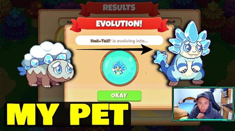 MY PET SNOWFLUFF IS EVOLVING INTO HAIL TAIL - Prodigy Math Game - YouTube