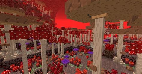 Better Nether Mod 1.17.1/1.16.5 (Never Seen It Before) - 9Minecraft.Net