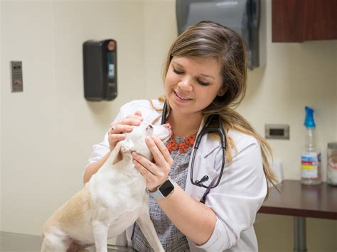 Veterinary Medicine Students | Oklahoma State University