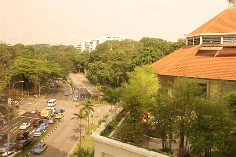 View along Napier Road towards Singapore Botanic Gardens. From Trader'sHotel Singapore Singapore ...