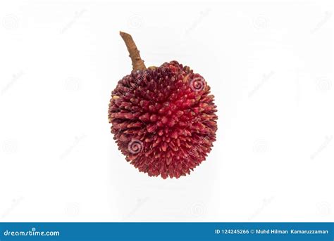 Pulasan Fruit Isolated on White Background Stock Photo - Image of berries, food: 124245266