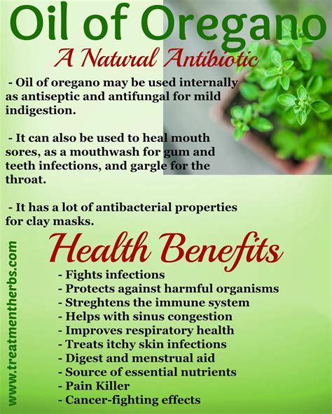 Oil Of Oregano Health Benefits Cancer - CancerWalls