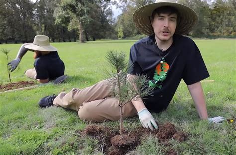 YouTube with MrBeast aim to plant 20 million trees