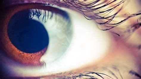 You Can See Your Own White Blood Cells Flowing Through Your Eye!