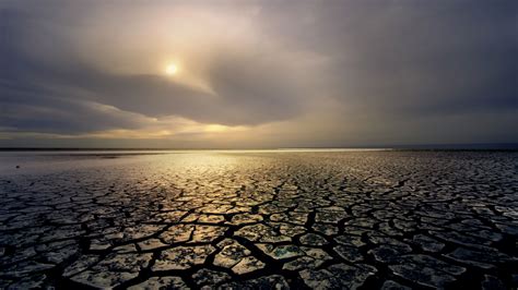 Mammals: You’re On The Clock - Videos from The Weather Channel