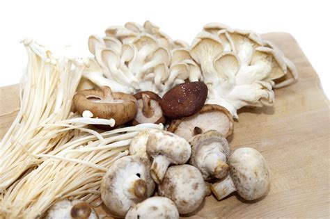 Selection of fresh mushrooms - Free Stock Image