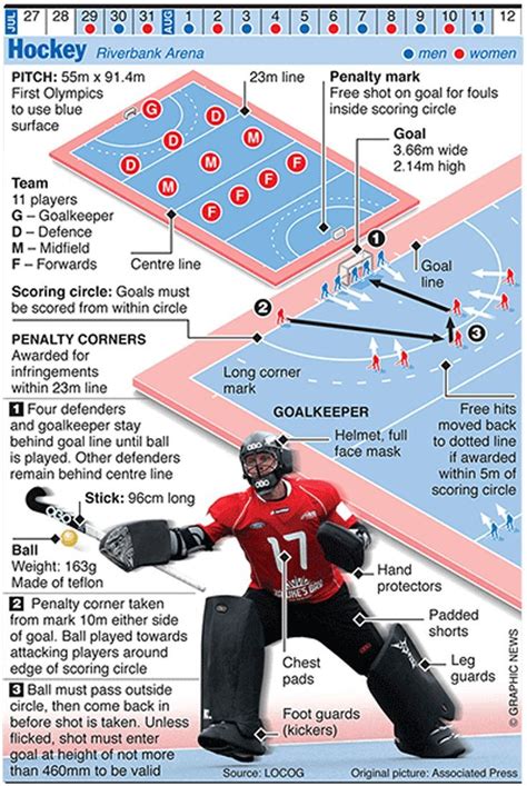 Olympics 2012 in infographics: ball games | Field hockey, Field hockey ...