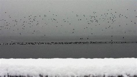 These Photos From Yesterday, Showing Srinagar’s First Snowfall Of The Season Are Just ...