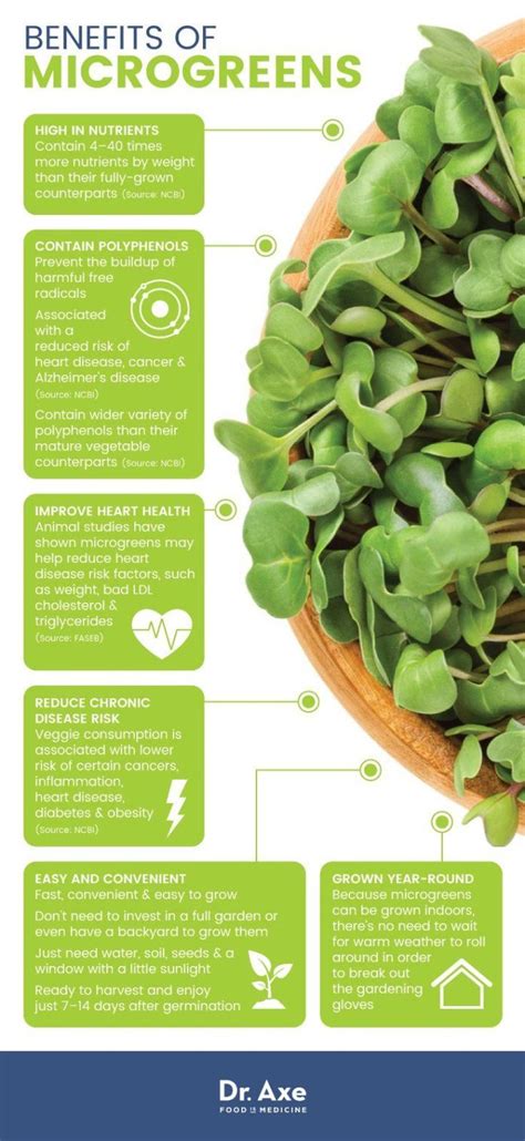 What Are Microgreens? Top 10 Microgreens & How to Grow Them | Coconut ...