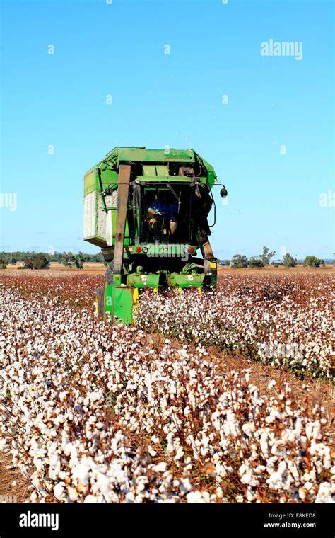 Cotton harvesting machine hi-res stock photography and images - Alamy