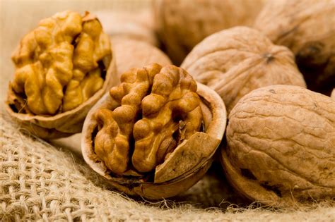 Go Healthy Life Style: NUT : WALNUT