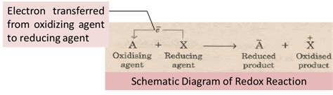 Electron Transfer Reactions: Redox Reactions, Cells, Videos, Examples