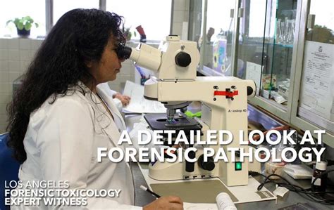 Forensic-Pathology - Los Angeles Forensic Toxicology Expert Witness