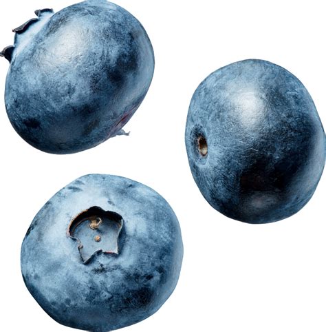 Photo de Blueberry PNG - PNG All