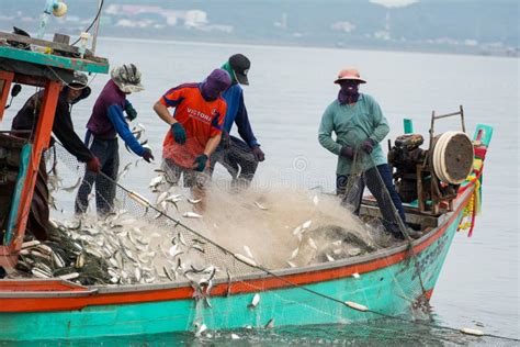 On the Fisherman Boat, Catching Many Fish Editorial Stock Image - Image ...