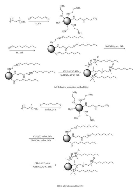 Synthesis of quaternary ammonium polyethyleneimine nanoparticles. | Download Scientific Diagram