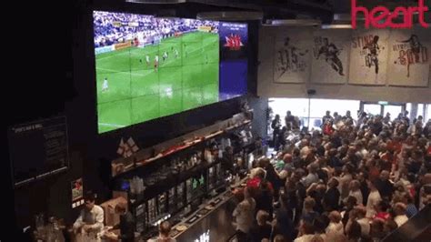 Fans Celebrate GIF - Fans Celebrate Pub - Discover & Share GIFs