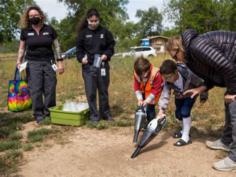 Center for Conservation and Research at San Antonio Zoo: Texas Horned ...