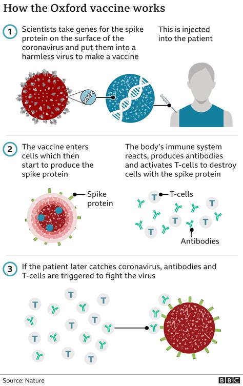 Covid-19: Oxford vaccine rolled out to hundreds of GP sites in England ...