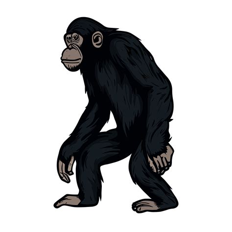 Chimpanzee icon clipart transparent background 24029747 PNG