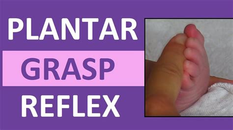 Plantar Grasp Reflex in Infant Newborn | Pediatric Nursing Assessment ...