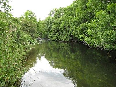 River Colne, Hertfordshire - Wikishire