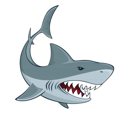 Bull Shark Drawing | Free download on ClipArtMag