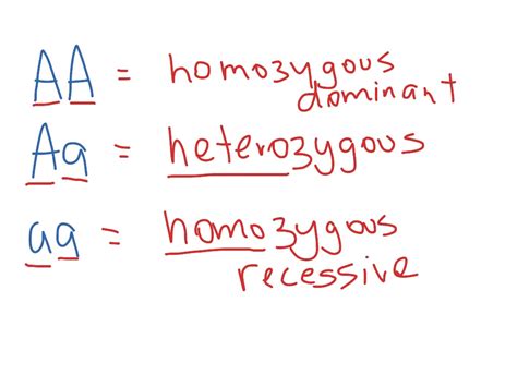 Heterozygous/homozygous | Science, Genetics | ShowMe