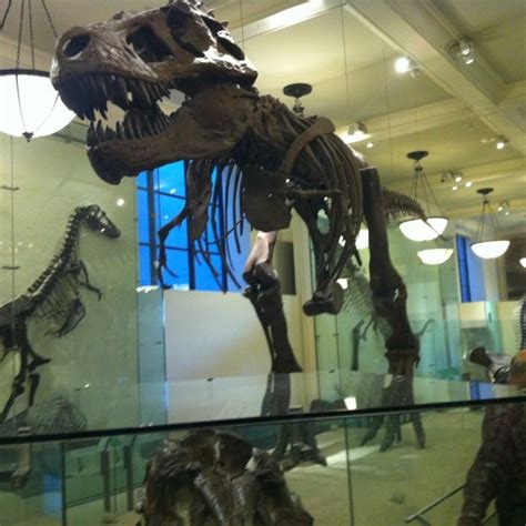 Tyrannosaurus Rex! - Upper West Side - 200 Central Park W