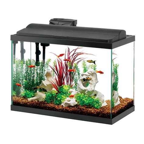 Practical Tips for A Healthy Aquarium