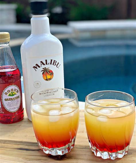 Drinks Made With Malibu Coconut Rum - qwlearn