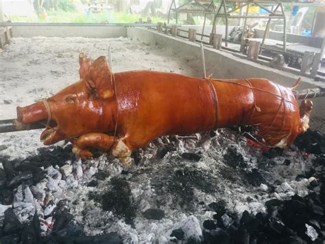 Classic Lechon ( 41-45 kilos ) - Casa Bicolnon Lechon