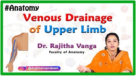 Venous Drainage of the Upper Limb - YouTube