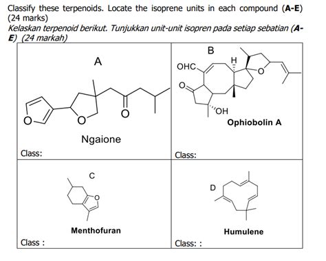 Solved Classify these terpenoids. Locate the isoprene units | Chegg.com