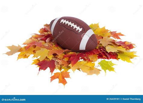 College Football on Fall Leaves Isolated on White Stock Image - Image of background, color: 26439181