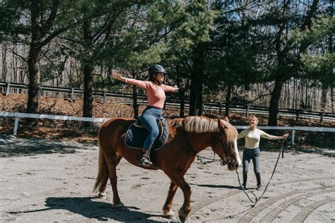 Do You Need Horse Riding Lessons: An Honest Answer - Horses Afield