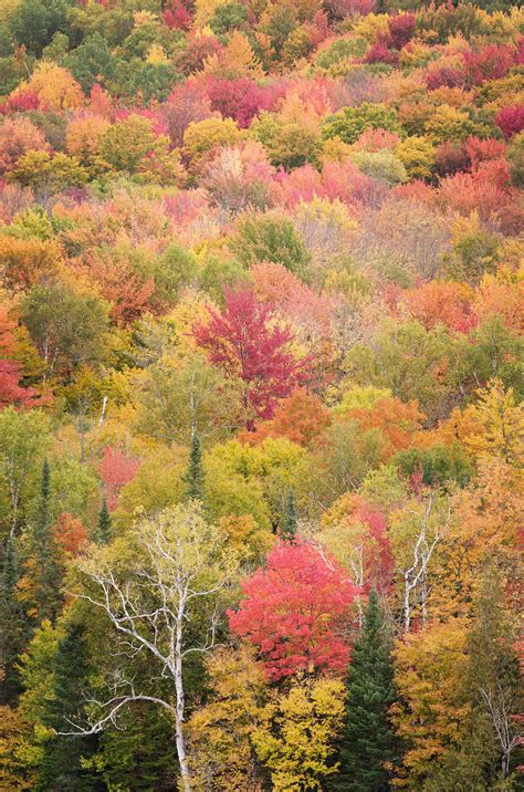 Vermont Fall Foliage - Alan Crowe Photography