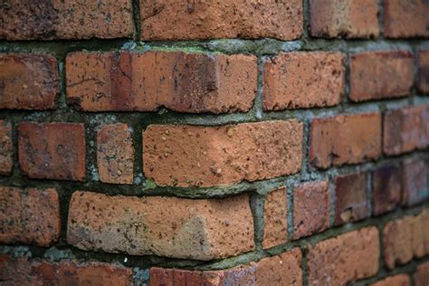 Brick Wall Free Stock Photo - Public Domain Pictures