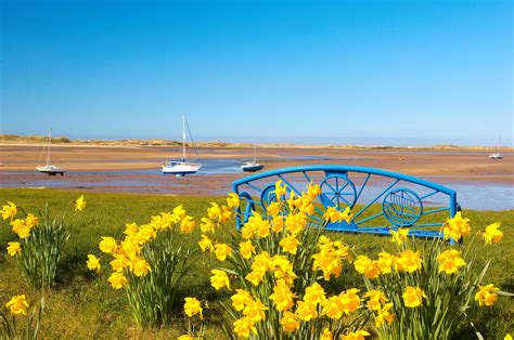 Ravenglass Estuary | Estuary, Habitats, Wildlife